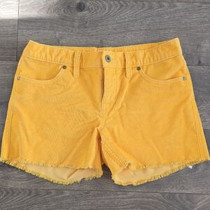 Carve Designs Yellow Jean Shorts Summer Style